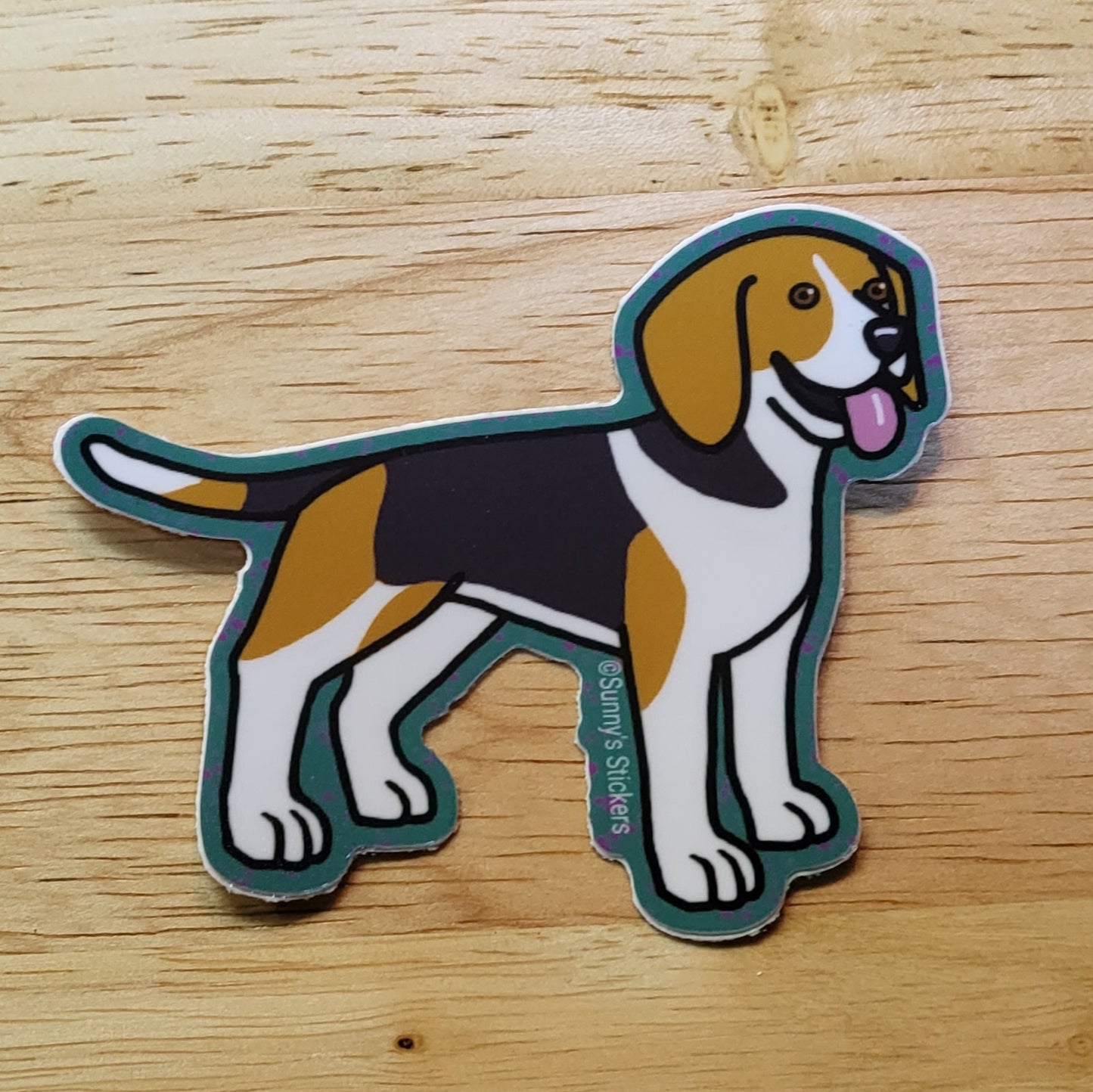 Beagle