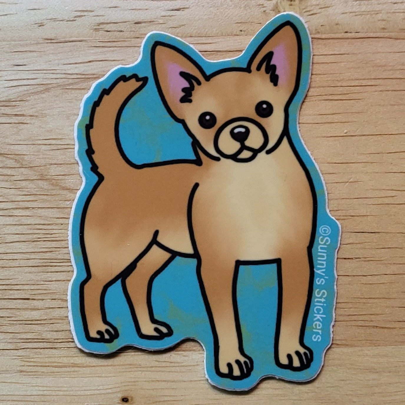 Chihuahua Fawn
