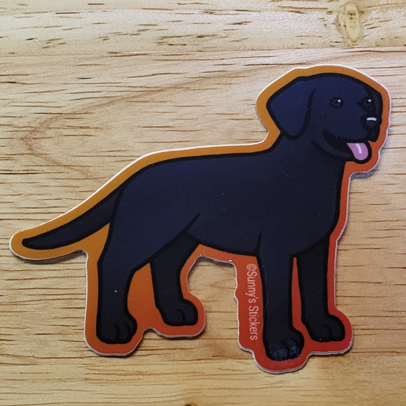 Labrador Retriever Black