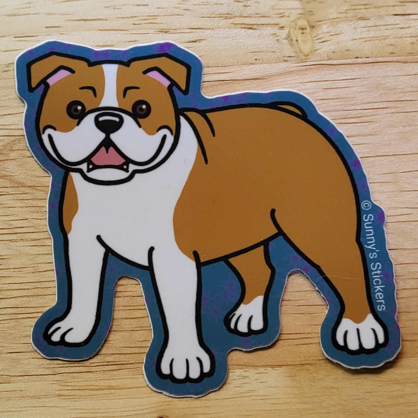 English Bulldog Red & White