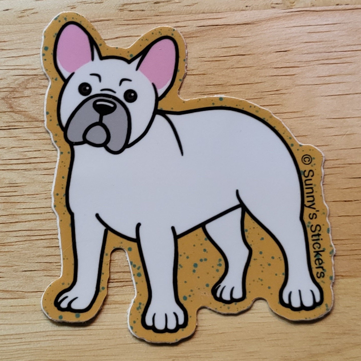 French Bulldog White