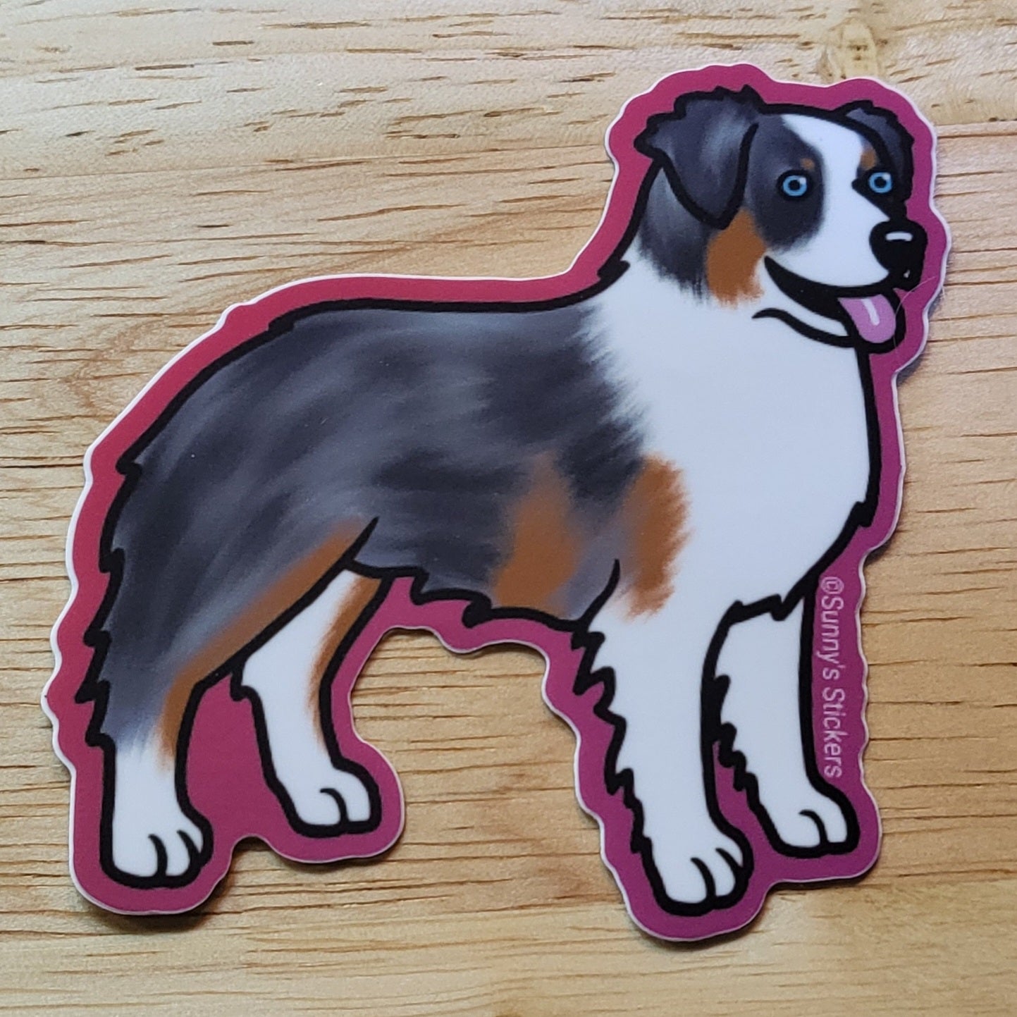 Australian Shepherd