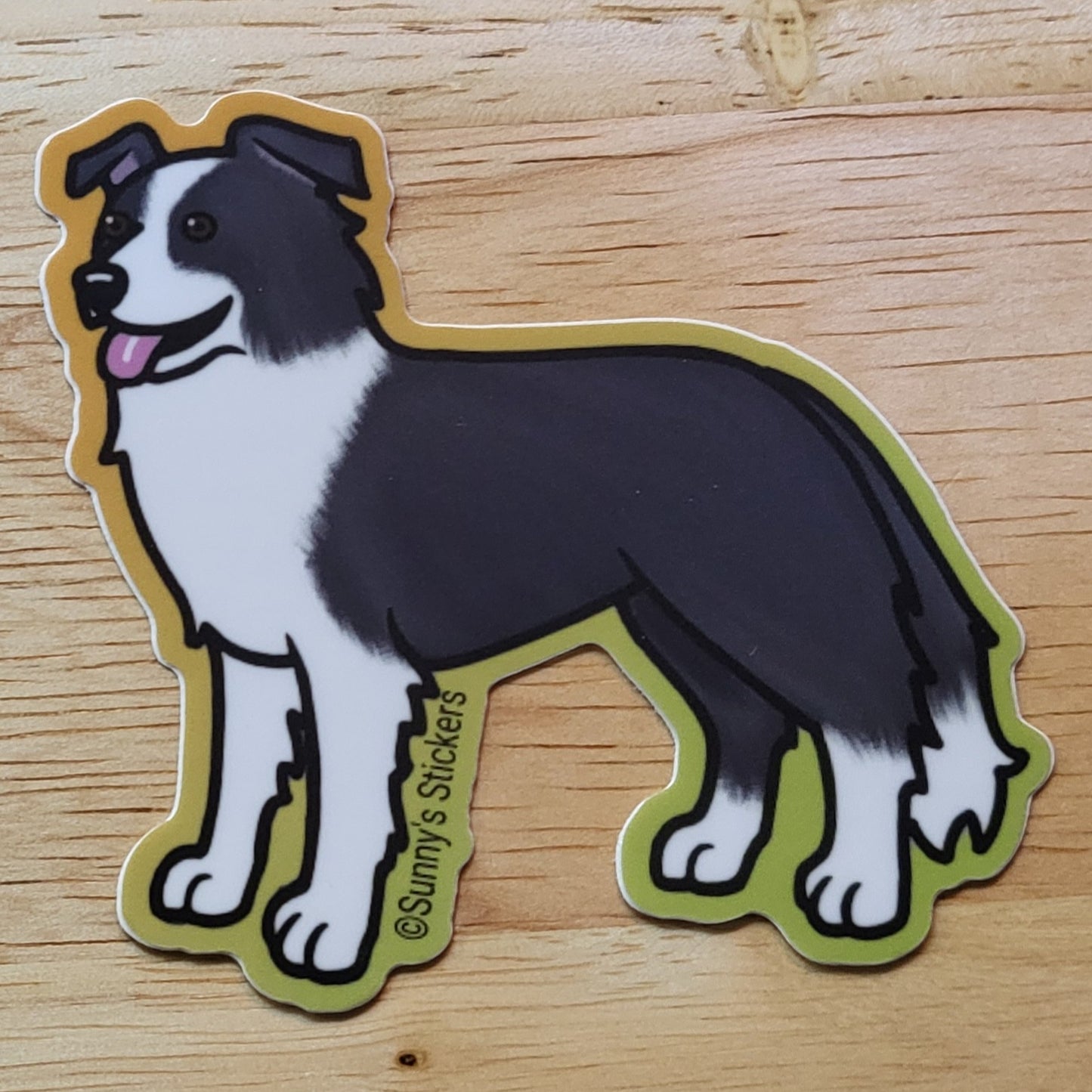 Border Collie Black