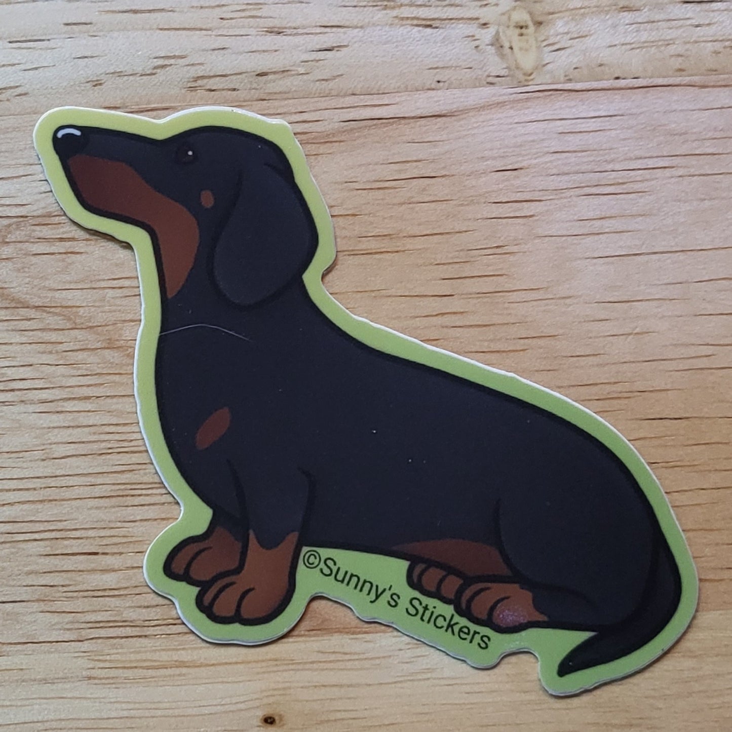 Dachshund Black & Tan
