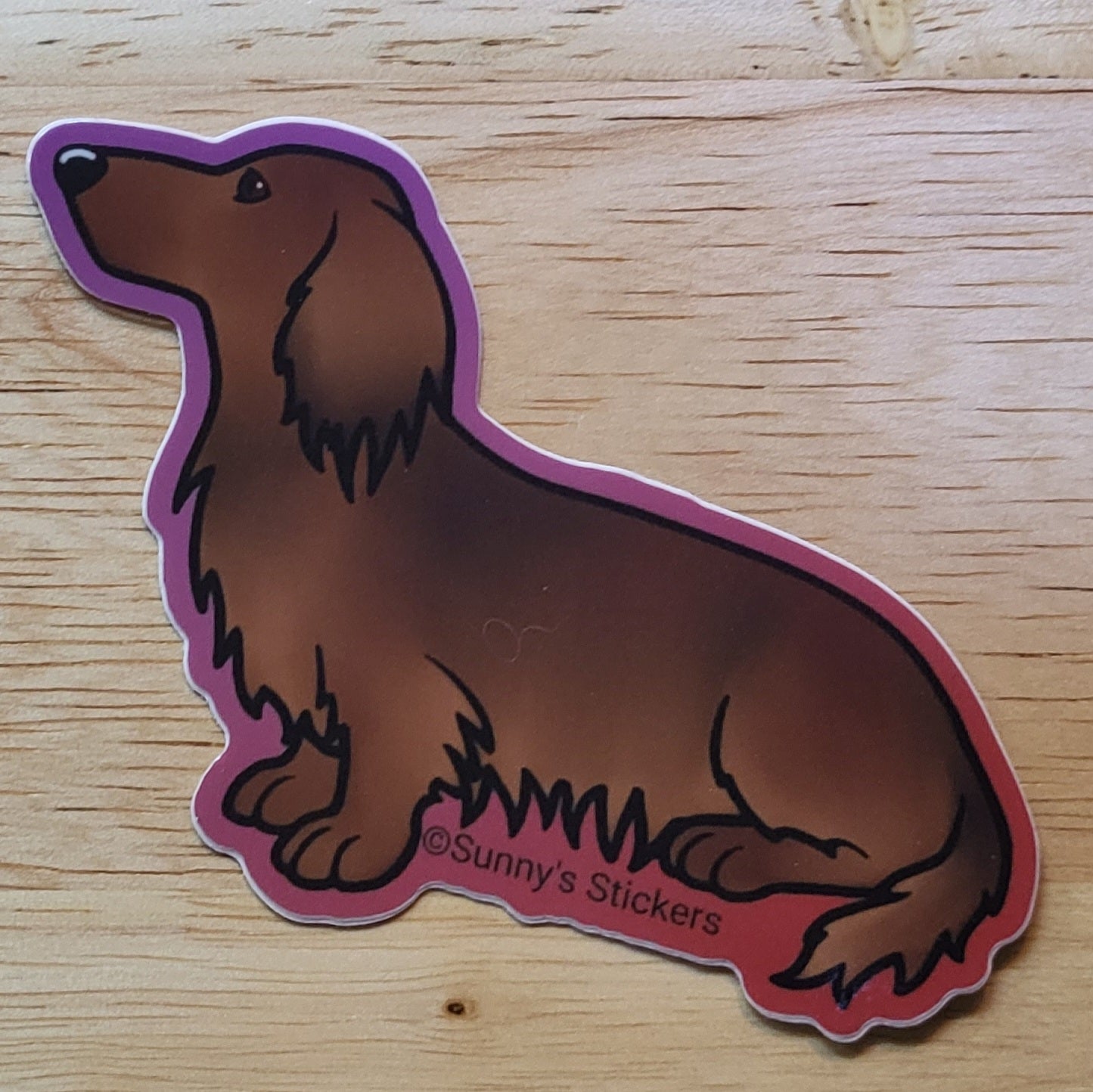Dachshund Long Hair Red