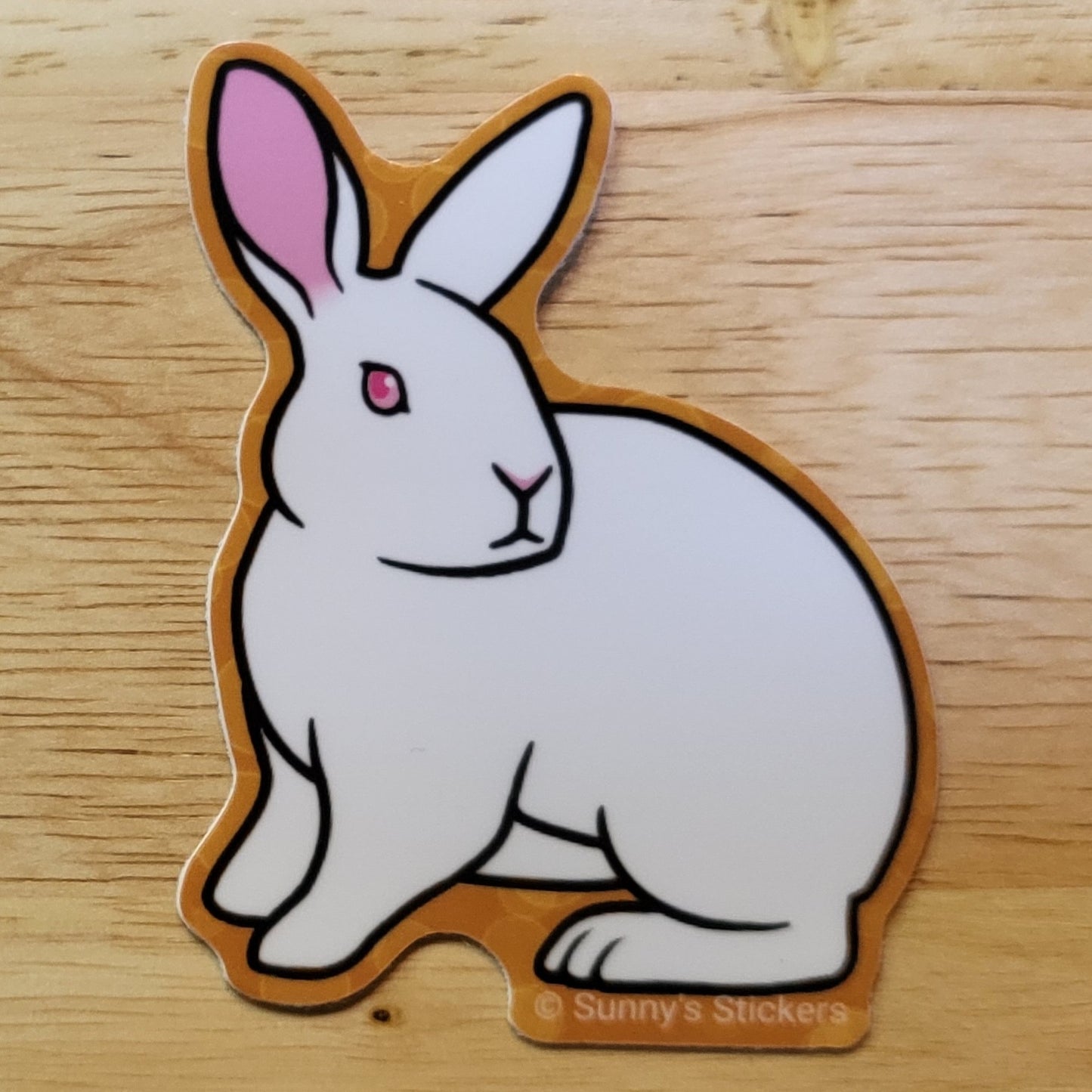 Red Eyed White Rabbit