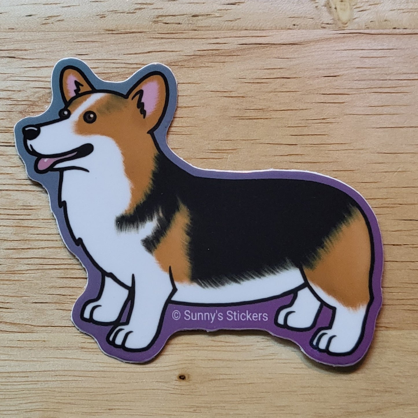 Corgi Pembroke Tricolor