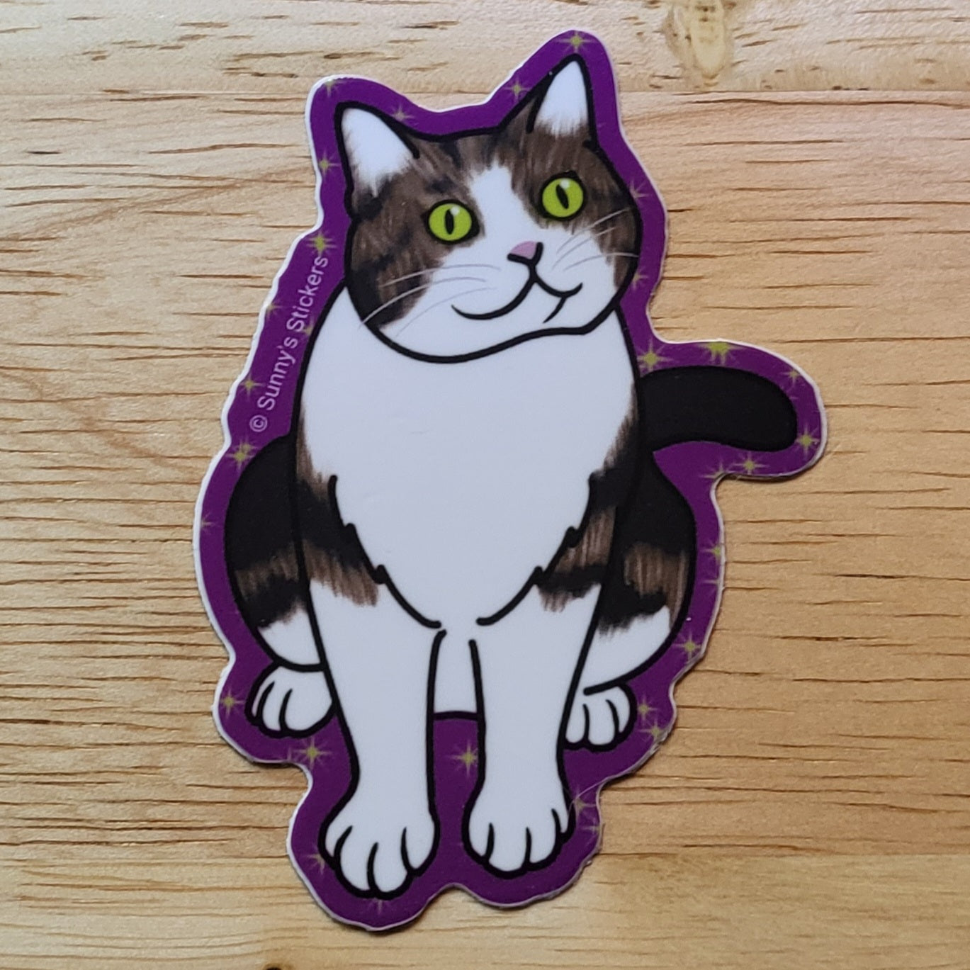 Brown Tabby