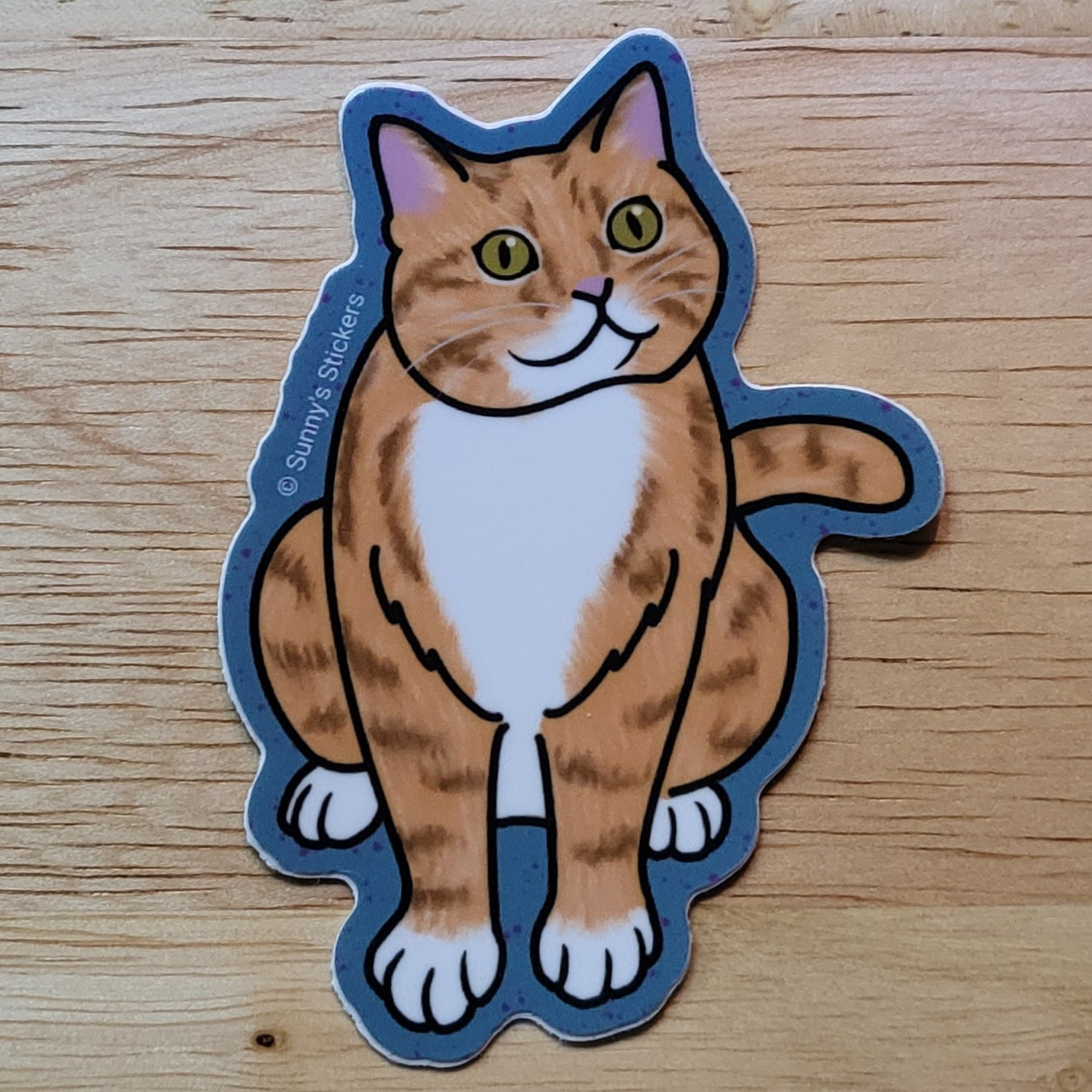 Orange Tabby