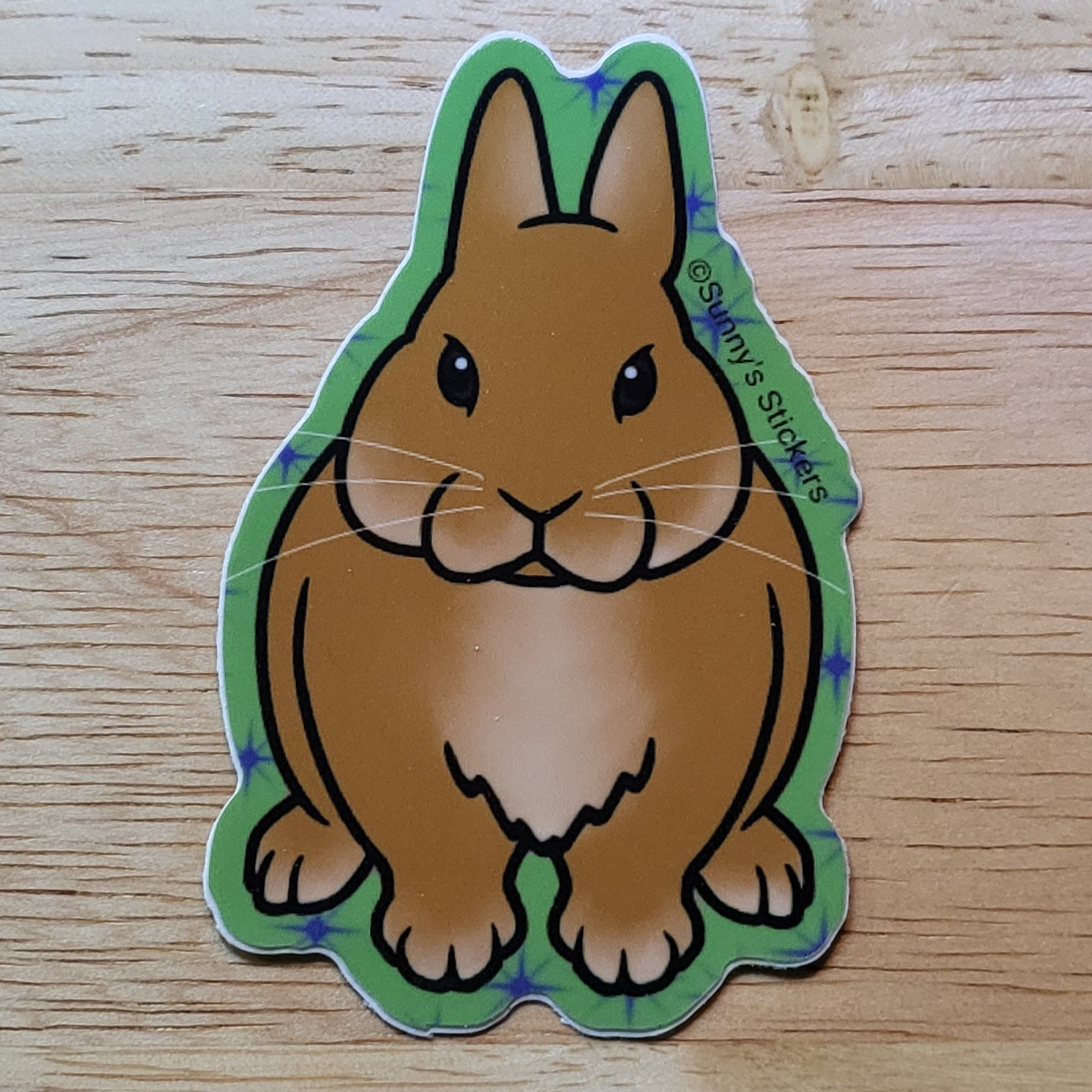Netherland Dwarf Red