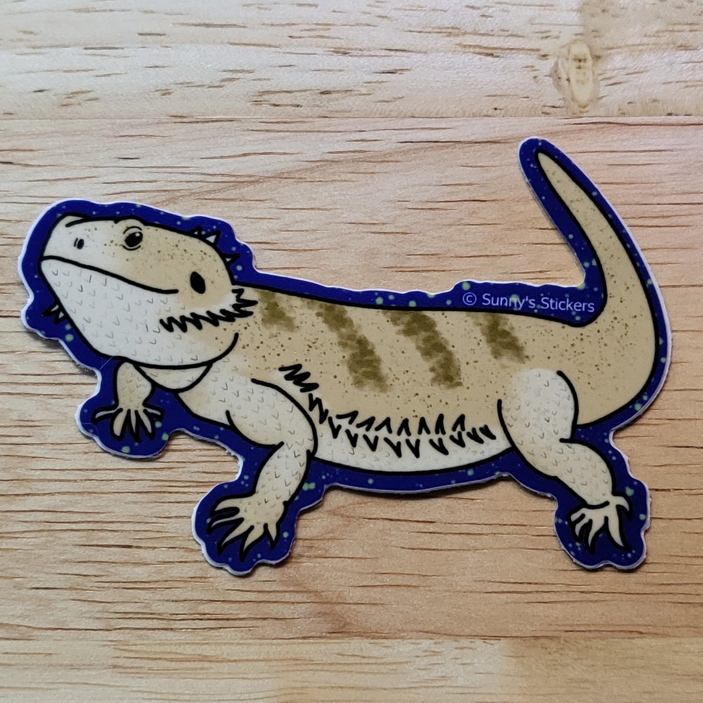 Bearded Dragon