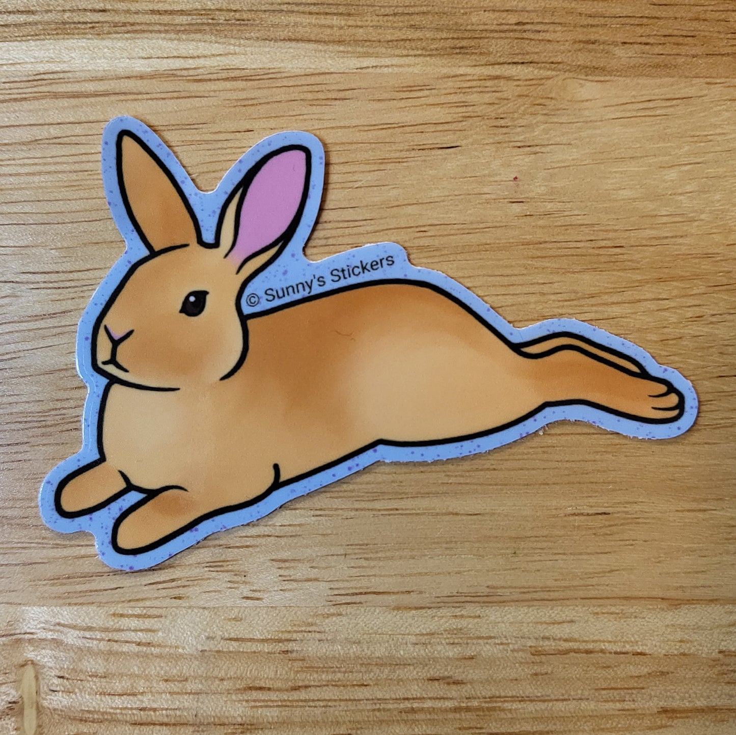Red Rabbit Sploot