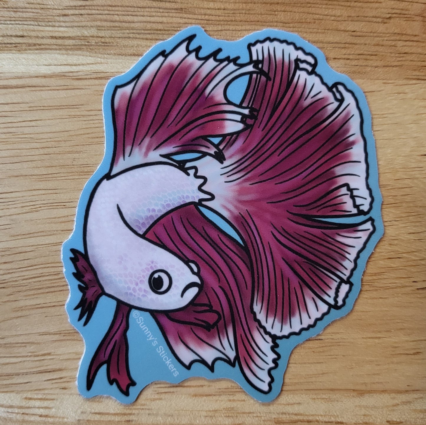 Betta Fish White