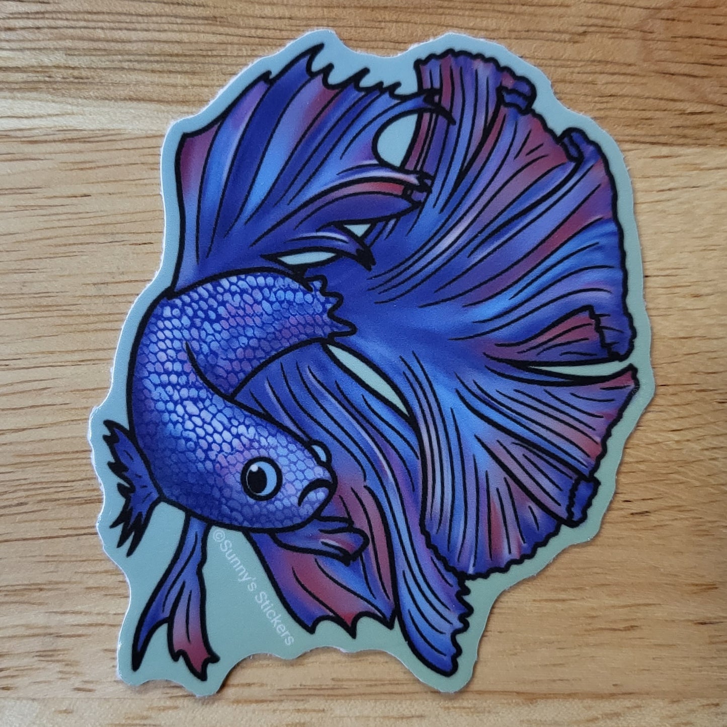 Betta Fish Blue
