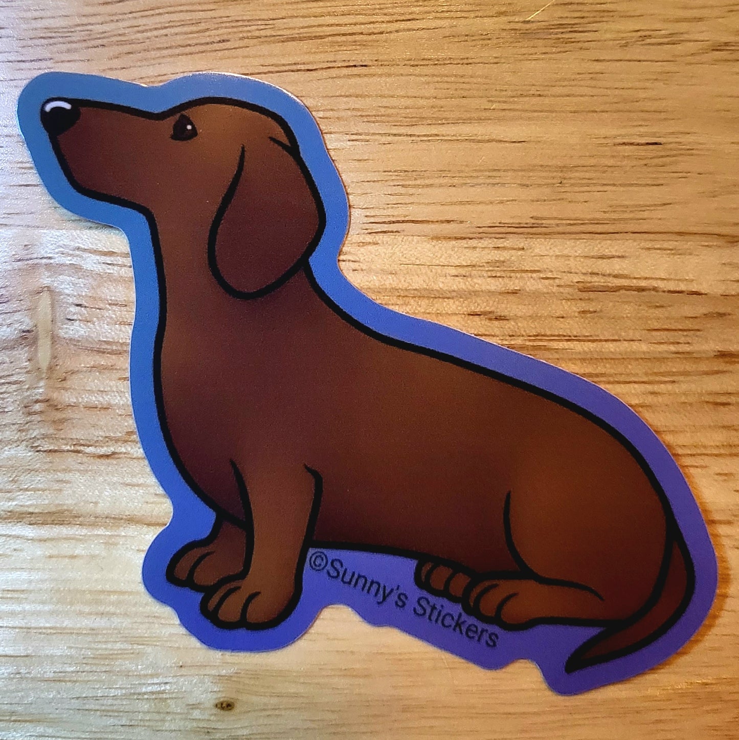 Dachshund Red