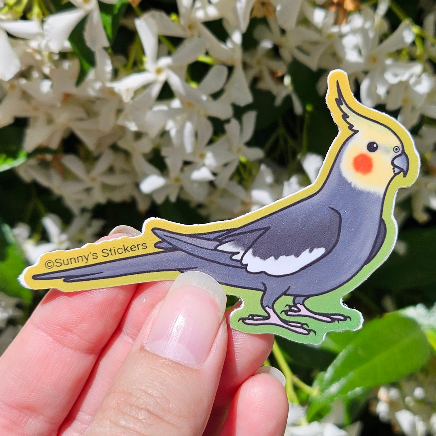 Gray Cockatiel Sticker