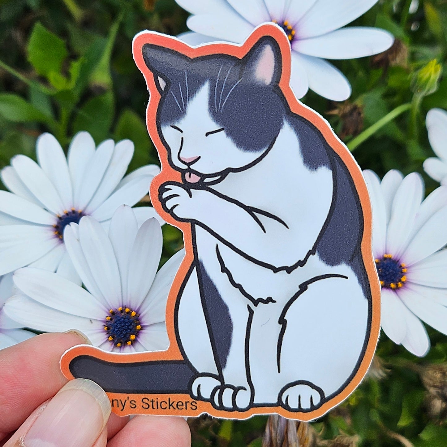 Licking Paw B&W Cat