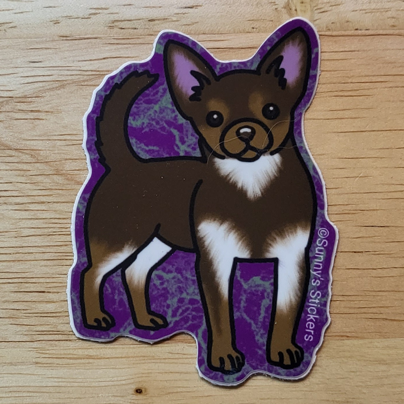 Chihuahua Chocolate