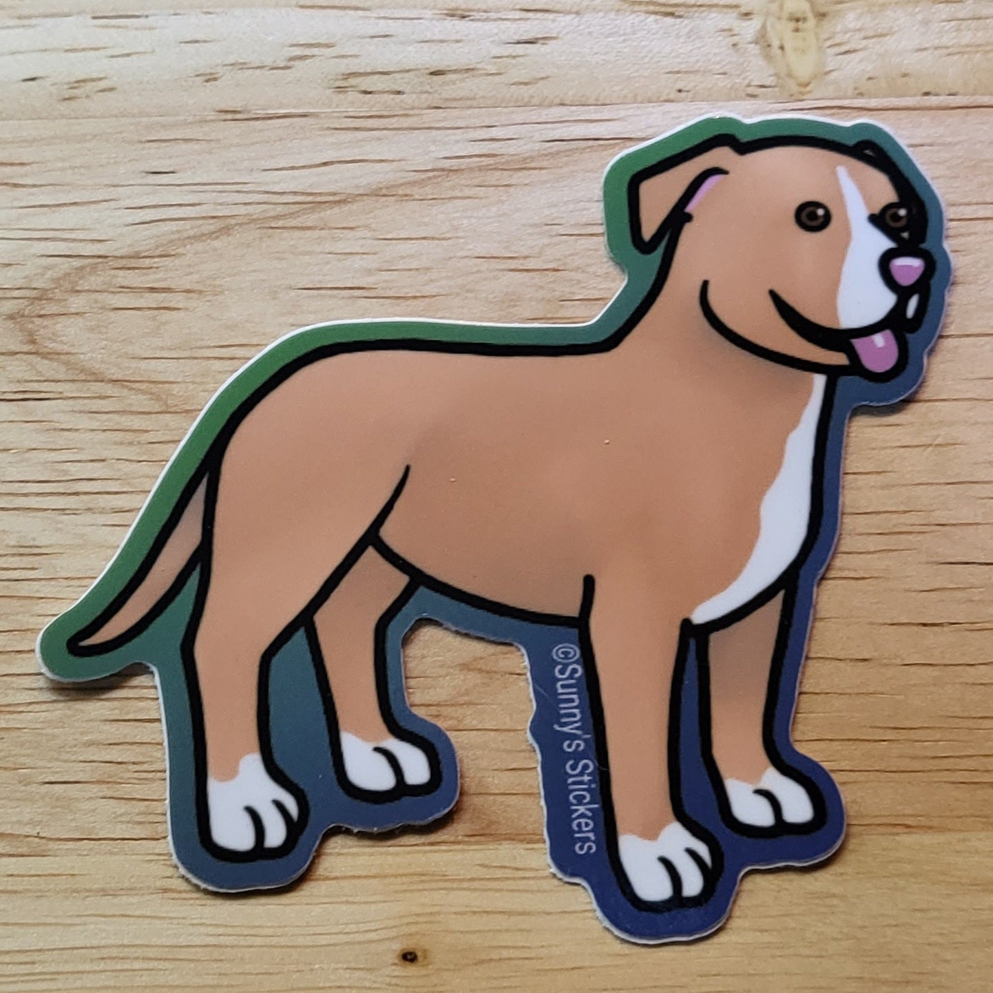 Pitbull Tan