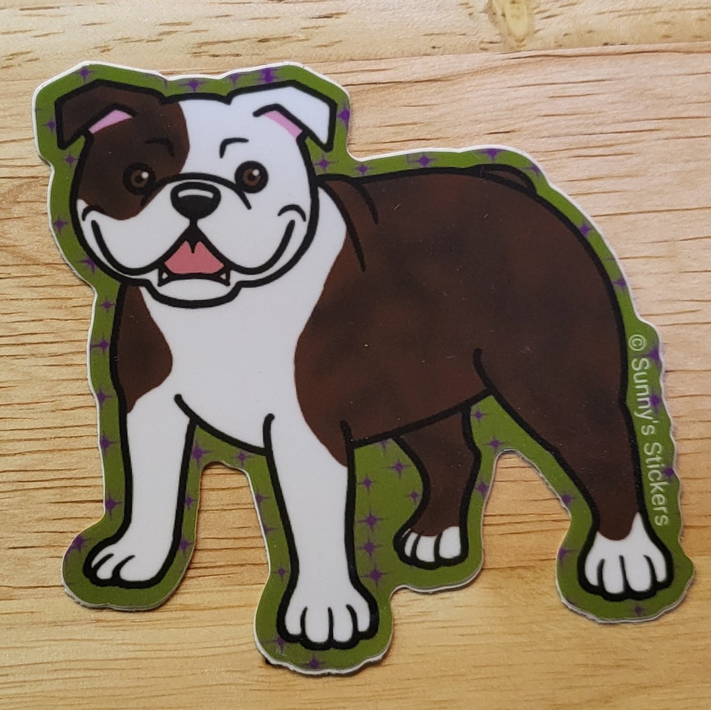 English Bulldog Brindle & White