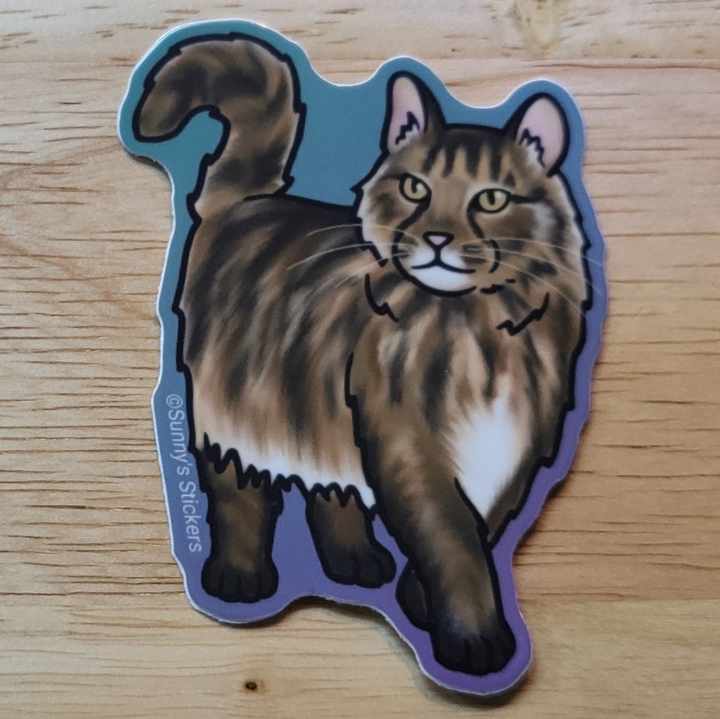 Long Haired Tabby