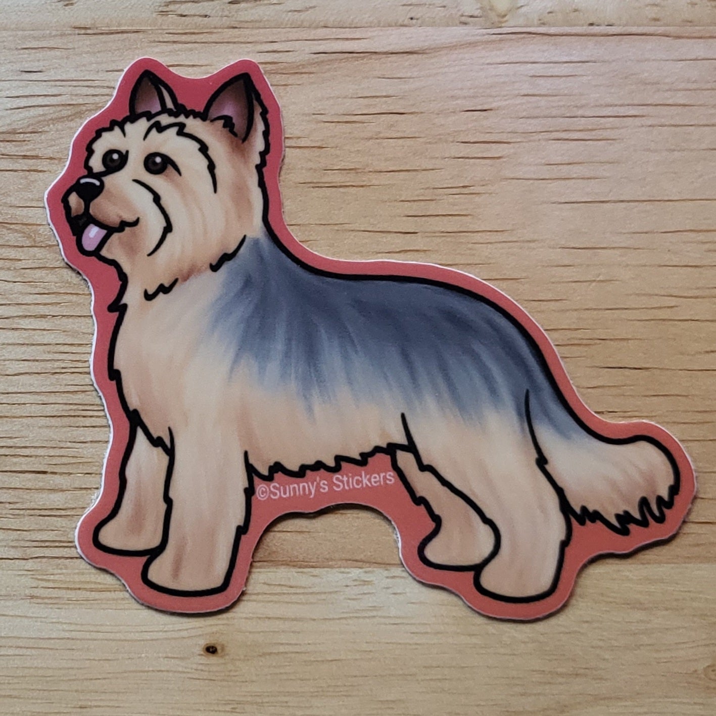 Yorkshire Terrier