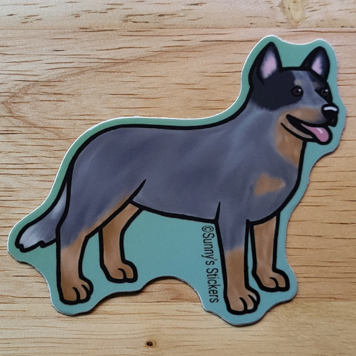 Australian Cattle Dog