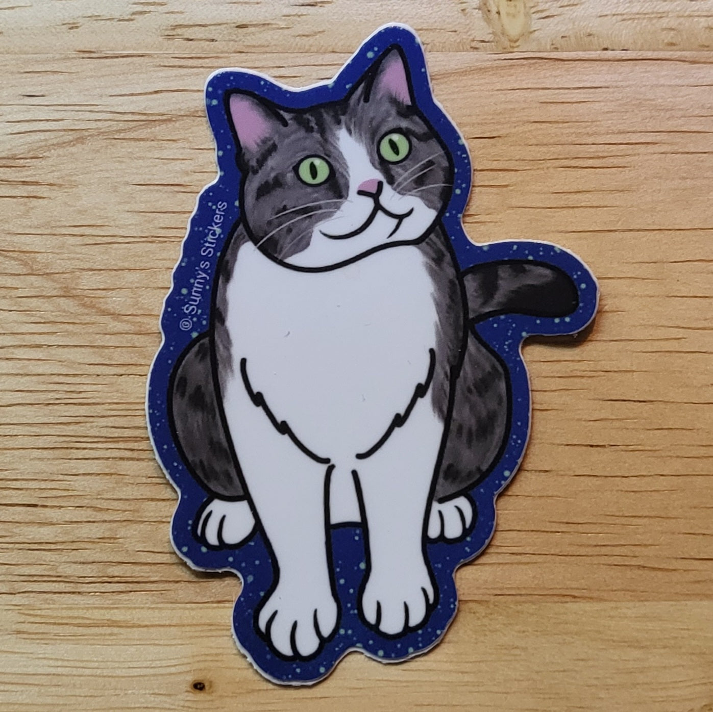 Gray Tabby