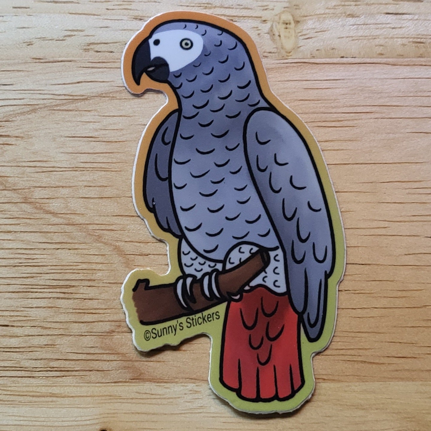 African Gray Parrot