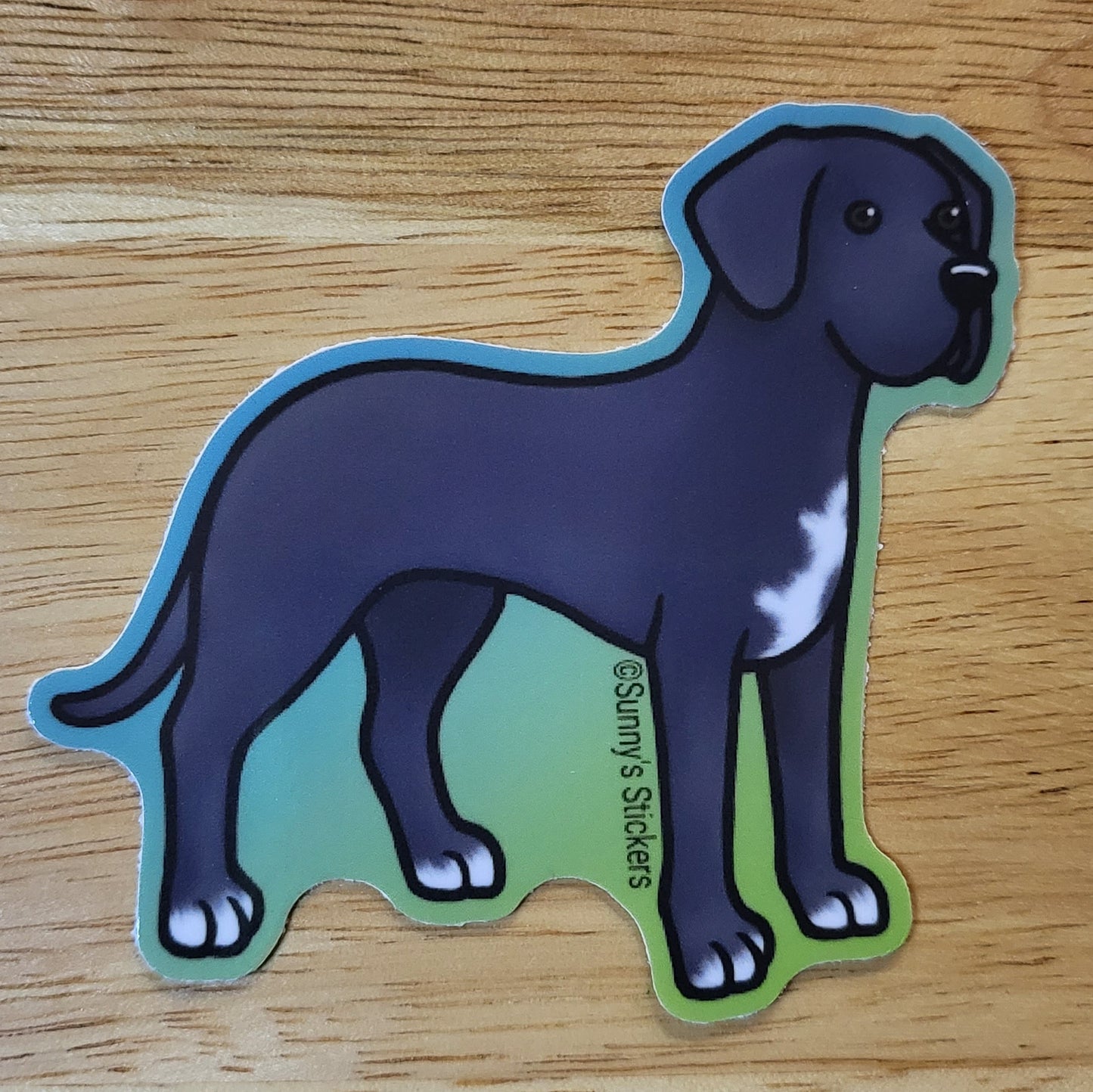 Great Dane Floppy Ear Black