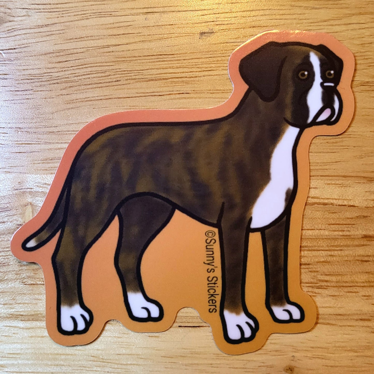 Boxer Brindle