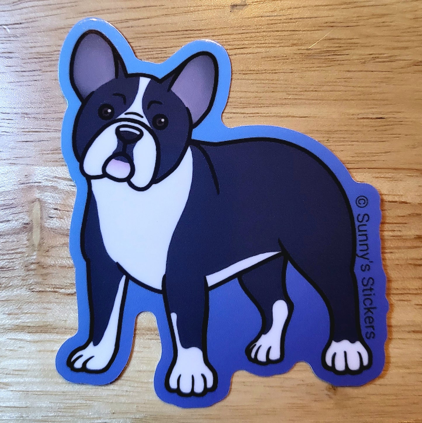 French Bulldog Blue