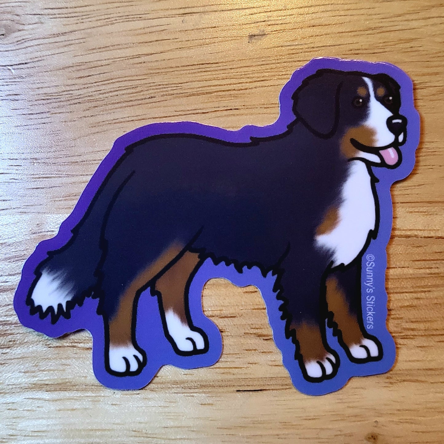 Bernese Mountain Dog