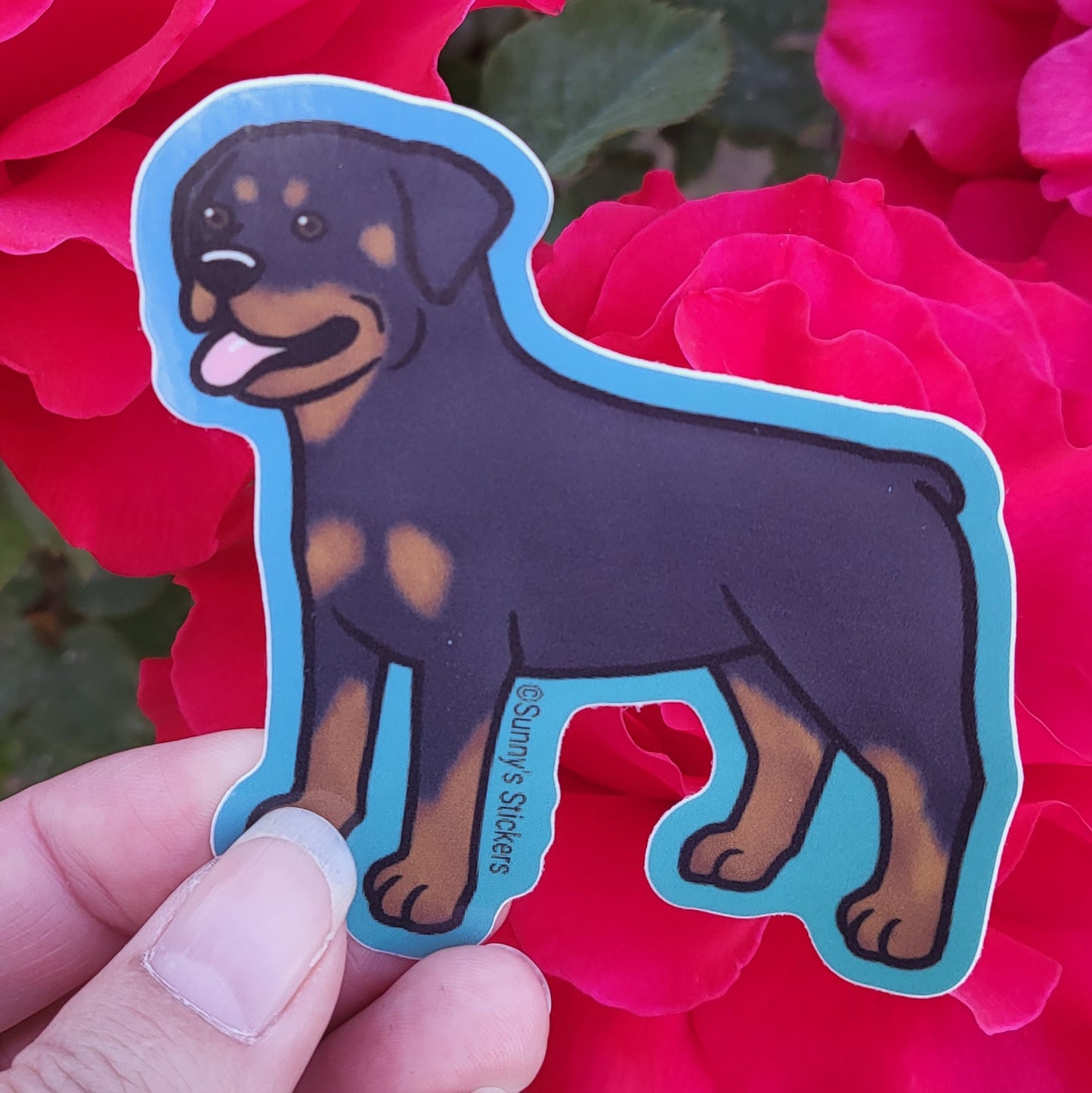 Rottweiler
