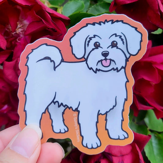 Maltese