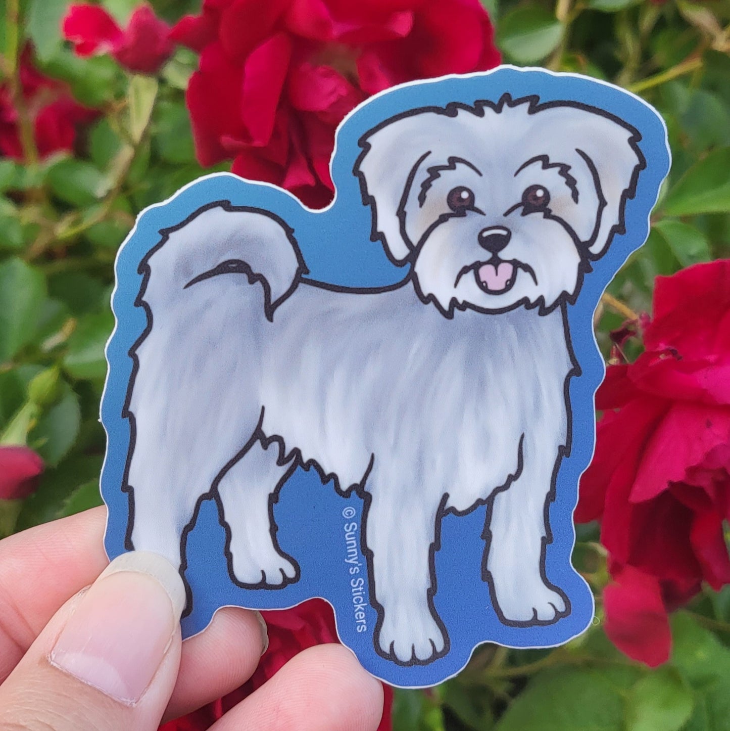 Mini Gray Terrier