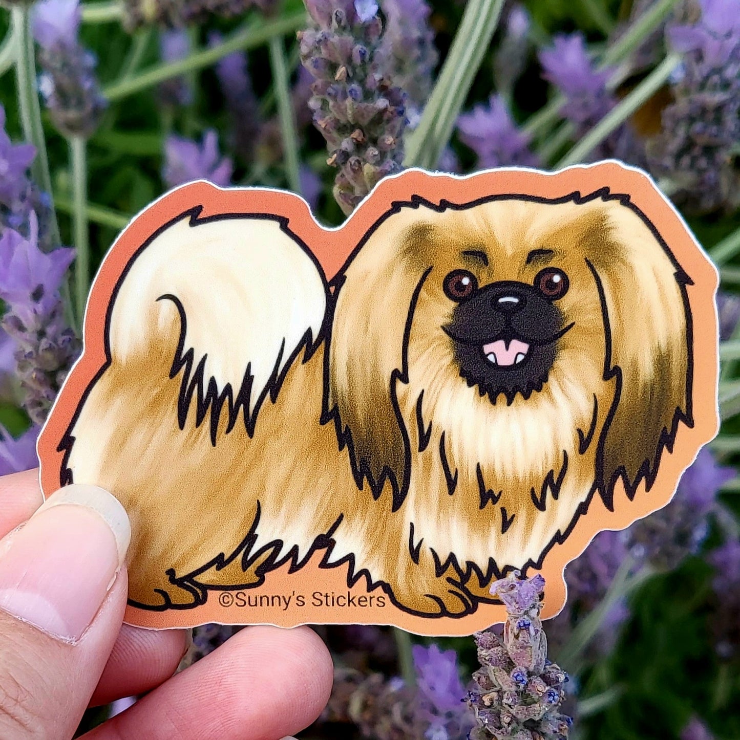 Pekingese