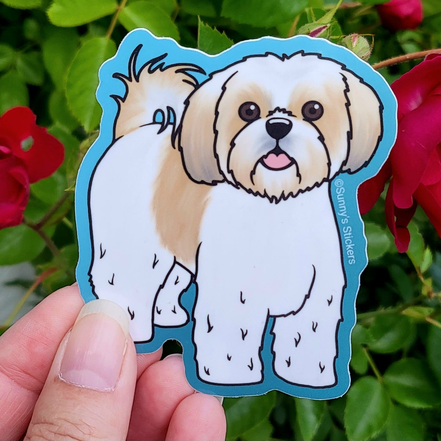 Shih Tzu Tan