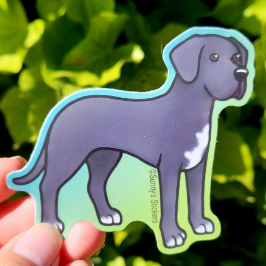 Great Dane Floppy Ear Black
