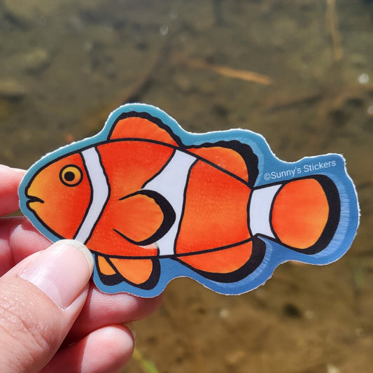 Clownfish