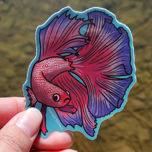 Betta Fish Red