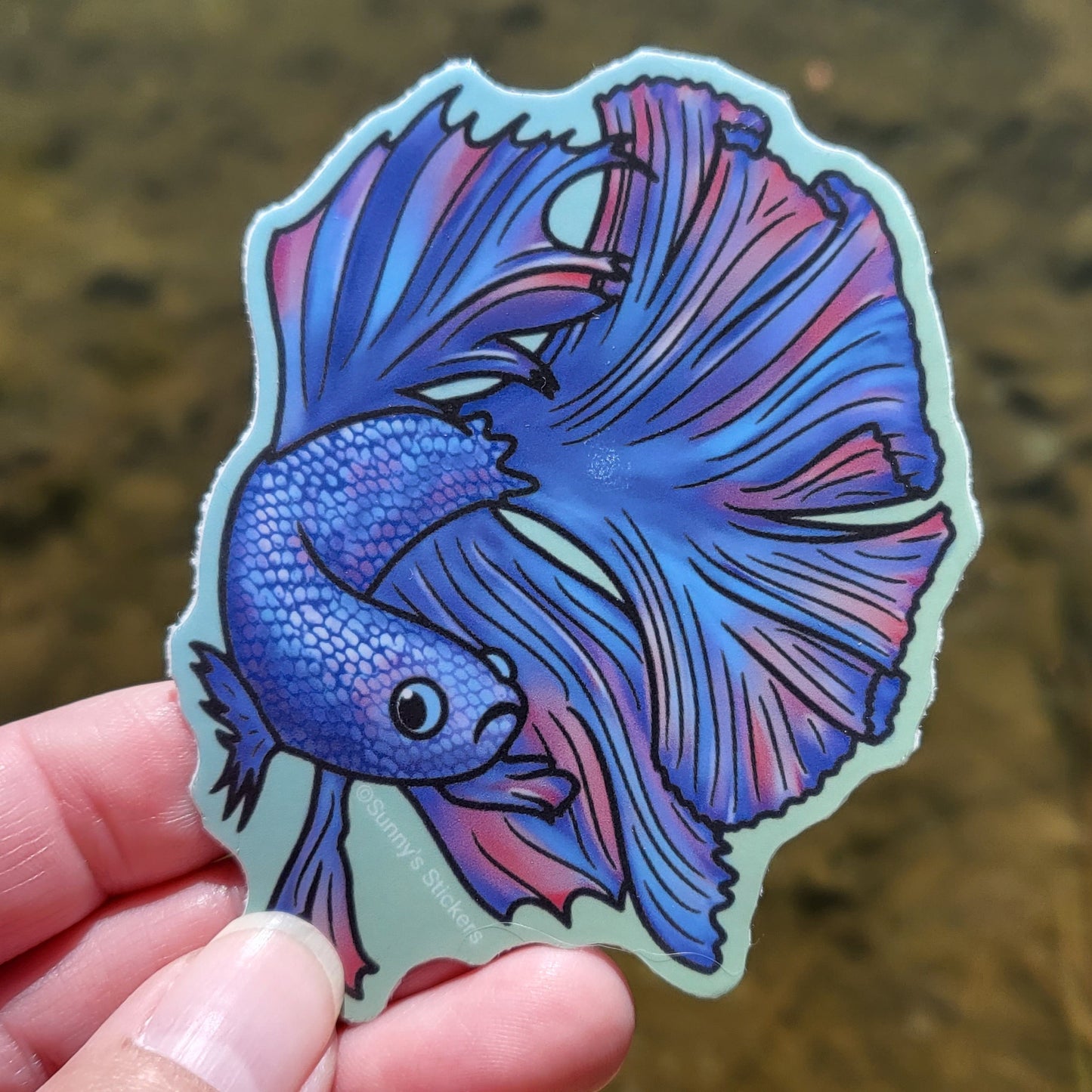 Betta Fish Blue
