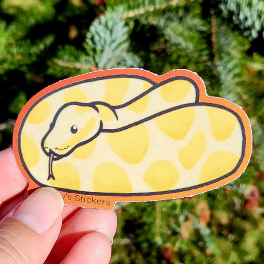 Ball Python Yellow