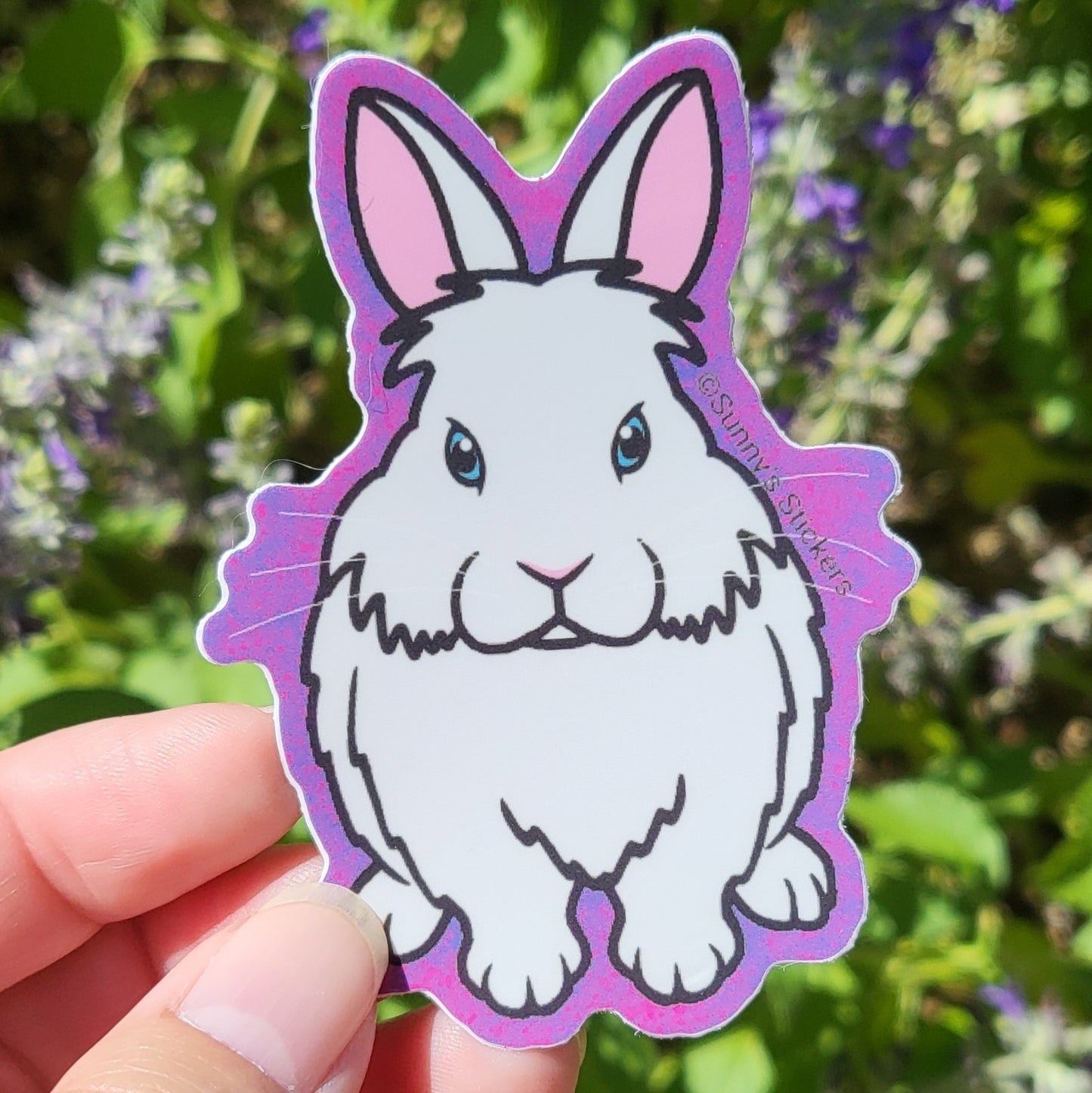 Lionhead White