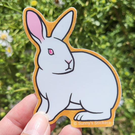 Red Eyed White Rabbit