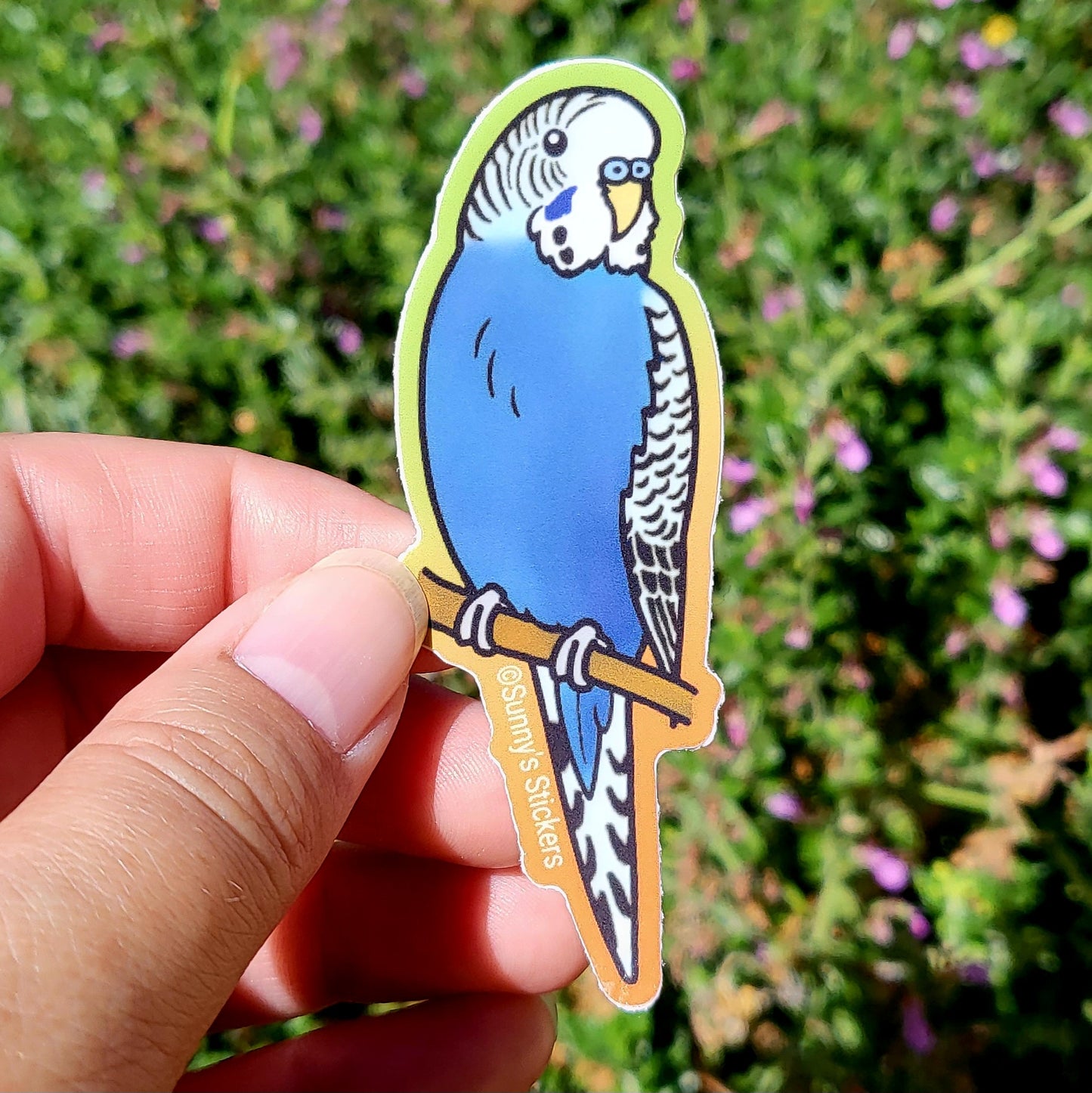 Parakeet Blue