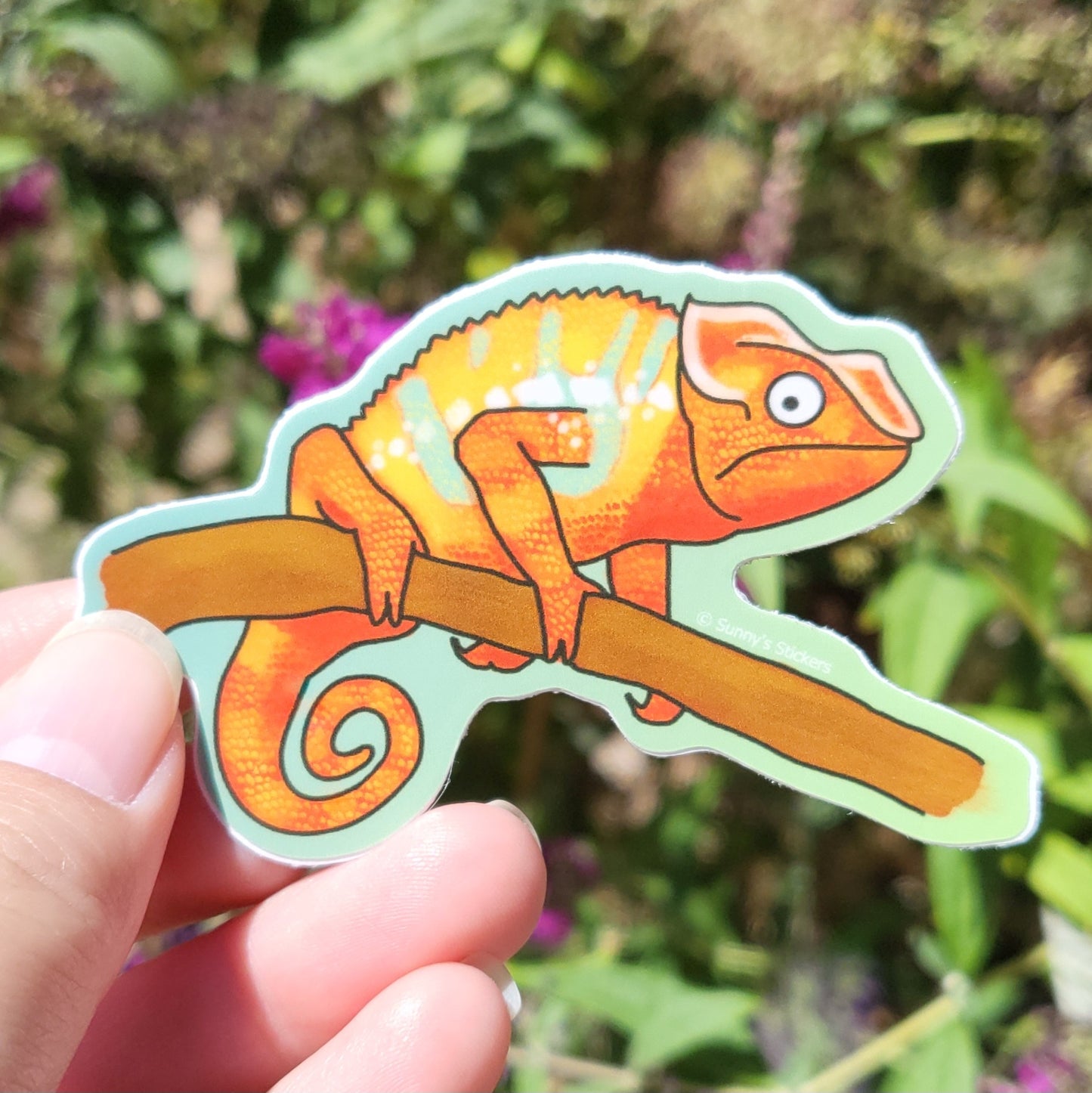 Panther Chameleon Red