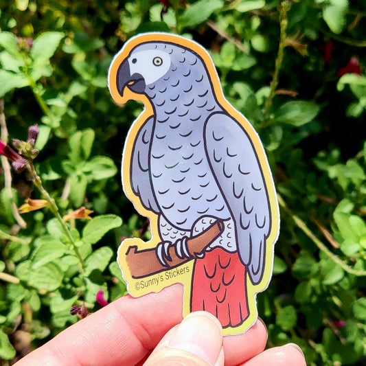 African Gray Parrot