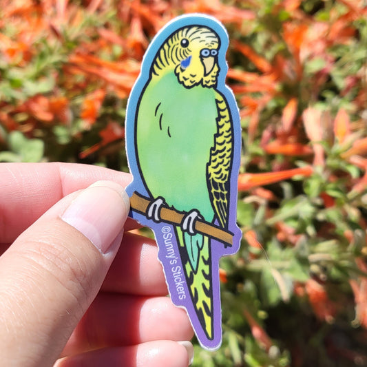 Parakeet Green