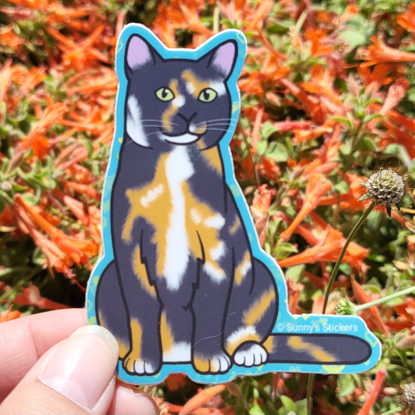 Calico